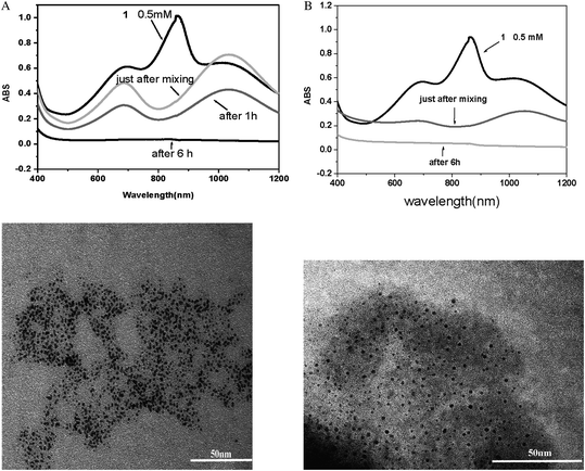 TEM images of Pt0 (left) and Pd0 (right) nanoparticles synthesised in water at room temperature using 1 as the reductant. The associated evolution of the UV-visible spectra run on the solutions as a function of time is also shown during Pt0 and Pd0 synthesis respectively. For further details, see text (from Fig. 1, ref. 44). (A) 1 0.5mM, Pt2+ 1mM. (B) 1 0.5mM [PdCl4]2− 1mM.