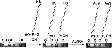 Schematic representation of the modification of a metallic surface (titanium or stainless steel) by a mercaptododecylphosphonic acid (MDPA) self-assembled monolayer and post-functionalization by reaction with silver nitrate to form silver thiolate end-groups.