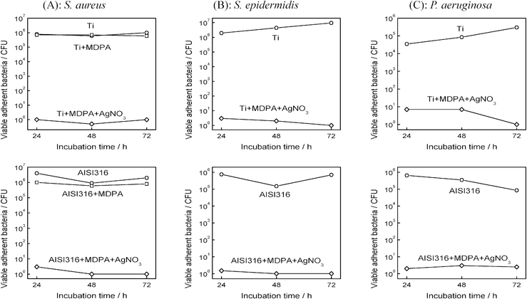 Effect of MDPA and AgNO3 treatment on the adhesion of (A) S. aureus, (B) S. epidermidis and (C) P. aeruginosa: total population of viable adherent bacteria (in CFU per sample) on titanium (top) and stainless steel (bottom) samples, after incubation for 1 h in a bacterial culture and for 1, 2 and 3 days in a sterile medium.