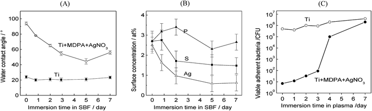Stability of the MDPA + AgNO3 coating on Ti in blood-mimicking fluids: (A) influence of the immersion time in SBF on the water contact angle; (B) influence of the immersion time in SBF on the surface P, S, and Ag atomic concentration; (C) influence of the immersion time in fresh human blood plasma on the total population of viable adherent bacteria (in CFU per sample) on titanium (top) and titanium coated by MDPA + AgNO3 (bottom) samples (the samples were incubated for 1 h in a S. epidermidis culture and for 1 day in a sterile medium).