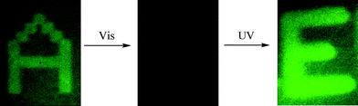 Photo-rewritable fluorescence imaging on 5 wt% in PMMA film by using UV and visible light. The real size of the photomask is about 1 mm × 1.2 mm.