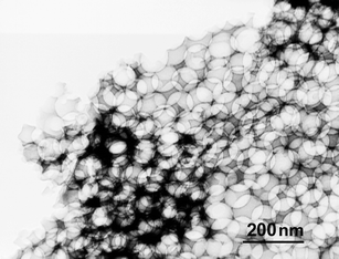 
          TEM image of PhSi-Ti film: macroporosity.