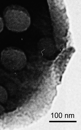 
          TEM image of MeSi-Zr: macro- and mesopores.