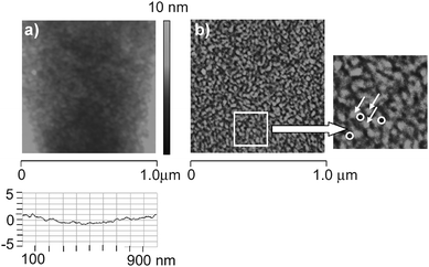 
          AFM images of a MeSi-Zr film after calcination: a) topological image; b) phase image (white arrow: particles, circles: pores).