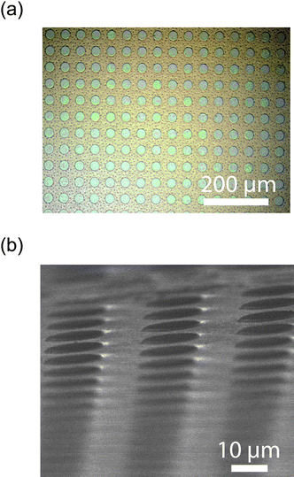 (a) Optical micrograph showing the typical size scale and format of the samples. (b) SEM micrograph of the mesoporous silica array prepared with a 15 second etch.