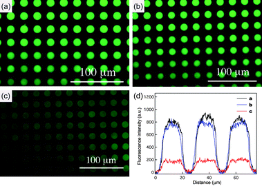 (a) The fluorescence image of dye-infused (Rhodamine 6G = 0.1 µM) mesoporous silica patterns synthesized from F127. Fluorescence images of mesoporous silica patterns after soaking with (b) GNP-14 nm (2.37 nM) and (c) GNP-2 nm (16 µM). (d) Line profile comparing the intensities of mesoporous silica patterns (a), (b) and (c).