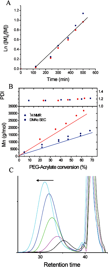 
            Polymerization results of oligo(ethylene glycol)-acrylate (OEG-A) in the presence of RAFT agent bearing a di(methyl)phosphonate group and a carboxylic acid group. A: evolution of Ln ([M]0/[M]) with polymerization time, B: evolution of Mn and PDI with OEG-acrylate conversion, C: evolution of DMAc GPC distribution with OEG-A conversion. Experimental conditions: (red symbol) [M]/[RAFT]:[I] = 100/1/0.2 and (blue symbol) [M]/[RAFT]:[I] = 50/1/0.2.