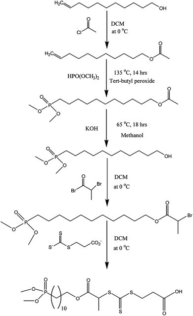 Synthesis of the trithiocarbonate RAFT agent bearing a di(methyl)phosphonate and a carboxylic acid group at R- and Z-fragments, respectively.