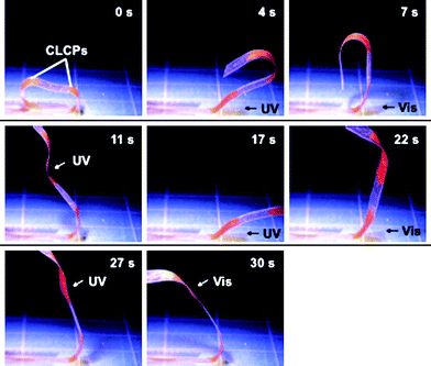 Series of photographs showing time profiles of the flexible robotic arm motion of the CLCP laminated film induced by irradiation with UV (366 nm, 240 mW cm−2) and visible light (>540 nm, 120 mW cm−2) at room temperature. Arrows indicate the direction of light irradiation. Spot size of the UV light irradiation is about 60 mm2. Size of the film: 34 mm × 4 mm; the CLCP laminated parts: 8 mm × 3 mm and 5 mm × 3 mm. Thickness of the layers of the film: PE, 50 µm; CLCP layers, 16 µm.