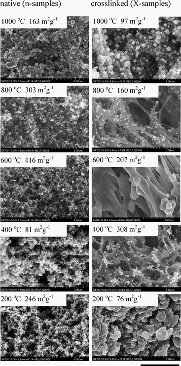 
          SEMs of native (n-RF-FeOx) and crosslinked (X-RF-FeOx) monoliths after pyrolysis under Ar at different temperatures. The length bar is 5 µm. BET surface areas for each sample are also provided.