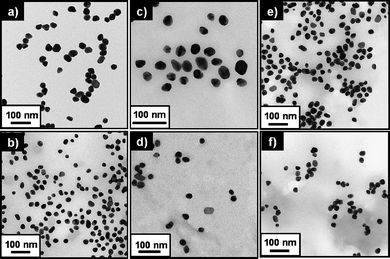 
            TEM images of (a) AuNP-0, (b) AuNP-1, (c) AuNP-1.5, (d) AuNP-2, (e) AuNP-1/lap, and (f) AuNP-2/lap.