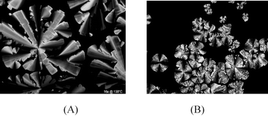 
            POM images under crossed polarisers of the texture of compound 2 at 138 °C (A) and of the texture of compound 5 growing from the isotropic liquid (B).