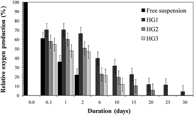 Comparison of enzymatic stability (10 °C) of entrapped thylakoids within different ratios of silica gels to free thylakoids. The gels are synthesized with different silica precursor concentrations: HG1: [Si]sol = 1.0 M; HG2: [Si]sol = 1.2 M; HG3: [Si]sol = 1.6 M. Time zero corresponds to the moment which thylakoids have been isolated.