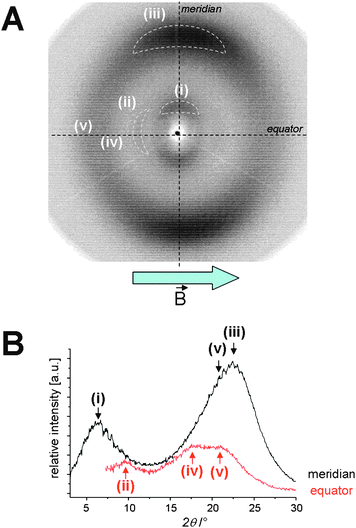 (A) X-Ray diffraction pattern of 2g aligned in the magnetic field by cooling from the isotropic phase to 80 °C and subsequently rapidly cooled to 25 °C. (B) Integration of the averaged XRD intensity along the meridian (black) and the equator (red).