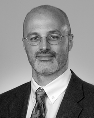 Professor Vincent Rotello.