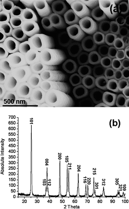 (a) SEM image of an ATO nanotubular array after annealing at 600 °C. (b) Corresponding XRD pattern indexed onto the tetragonal anatase structure.