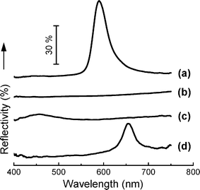 Experimental reflectivity spectra of the fabricated photonic crystals: (a) silica, (b) PDMS/silica, (c) PDMS/silica in hexane, and (d) PDMS/silica in acetic acid.