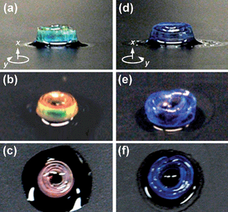 A right-handed spiral photonic actuator in acetic acid: (a) side view, (b) 45°-tilted view, and (c) top view, respectively. A left-handed spiral photonic actuator in hexane: (d) side view, (e) 45°-tilted view, and (f) top view, respectively. The geometric description of the sample is identical to that of Fig. 1a.