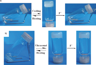 (a) Photographs of 1 organogel formed in toluene (12 mg/mL) and the collapsing gel by adding 1 equiv. TBAF to the gel. (b) Photographs of 2 organogel formed in toluene/alcohols (1:4, v/v) (20 mg/mL) and the retained gel by adding 20 equiv. TBAF.