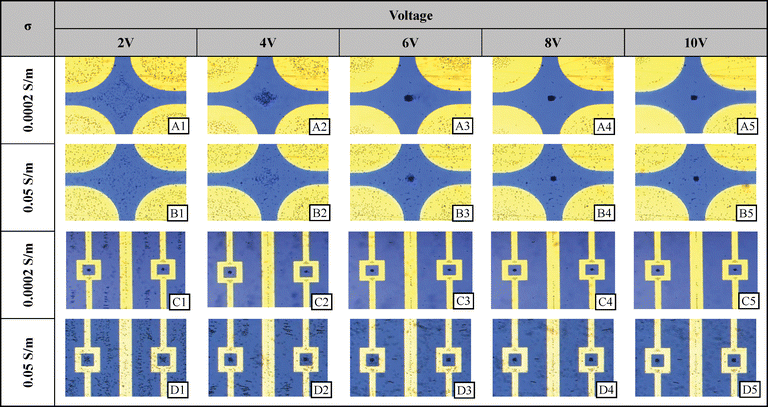 Experimental results at selected voltages and solution conductivities for the quadrupole and pocket well electrodes. 2 μm diameter polystyrene microspheres were randomly dispersed before a signal was supplied.