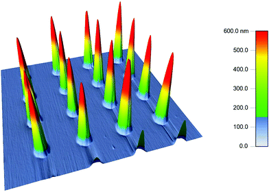 Height profile of 10 µm diameter with 10 µm spacing PDMS conical post array captured using tapping mode AFM.