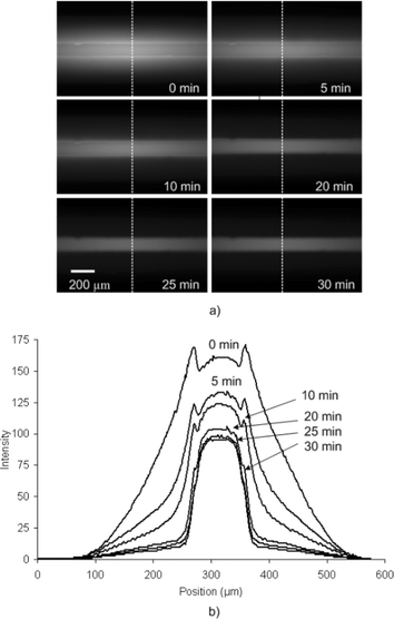 (a) Sequence of fluorescent images acquired during the course of photobleaching a PDMS microchannel with a 100 µM solution of Rhodamine B pumped at 20 µL min−1. (b) Corresponding light intensity profiles showing the decrease in signal from absorbed Rhodamine B.