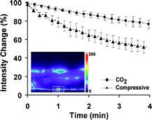 Photobleaching curves of GFP-expressing neurons during CO2 and compressive immobilization. Plot shows the percentage change in the cell body fluorescence intensity with respect to the intensity measured at time t = 0. Error bars represent SEM from 8 worms. The dashed white rectangle in the picture denotes the position of one of the VA motorneurons where fluorescence was measured.