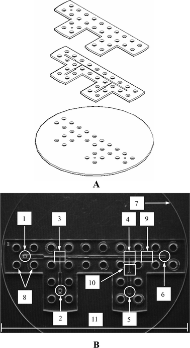(A) Exploded view of the microfluidic chip. (B) Photograph of the chip after assembly: 1. and 2. inlets, 3. 1st T-junction, 4. 2nd T-junction, 5 and 6. outlets, 7. bottom layer disk, 8. screw orifices, 9. and 10. droplets observation areas, 11. scale bar is 11 cm.