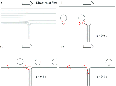 
          CFD-ACE+ simulation of the sorting behavior. (A) Streamlines of the 2nd T-junction channel. (B) Initial condition for droplets (C) Evolution (D) Separation of satellites droplets. The inlet oil flow rate is set as 0.3 mL/min and the outlet flow rate at the side channel is assumed as 0.012 mL/min.