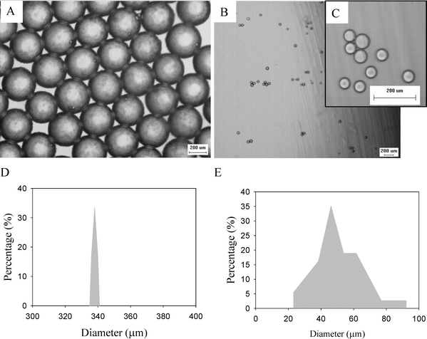 
          Microscope images of chitosan microparticles (A) in the Reservoir 1, and (B) and (C) in the Reservoir 2 (the scale bar is 200 μm). The size distribution of the microparticles regarding (D) is corresponding to (A), and (E) is corresponding to (B).