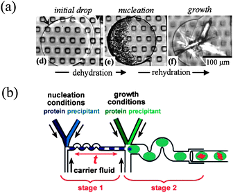 (a) Phase chip developed by Shim et al. to control the crystallization conditions in stored nanolitre droplets, using dialysis through a PDMS membrane (reproduced with permission from ref. 75). (b) Schematic time-controlled seeding droplets to separate nucleation and growth stages (reproduced with permission from ref. 78).