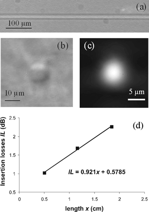 Top (a) and side (b) views of a femtosecond laser fabricated optical waveguide in fused silica; (c) Near field of the fundamental waveguide mode at 543 nm wavelength; (d) measurement of the propagation losses at 543 nm using the cut-back technique.