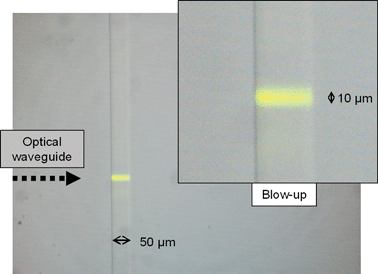 
          Microscope image of fluorescence from a microfluidic channel in a commercial LOC, filled with R6G, excited by an optical waveguide orthogonal to the channel. The waveguide is not visible due to the low refractive index contrast. A long-pass filter rejects the 532 nm excitation light.