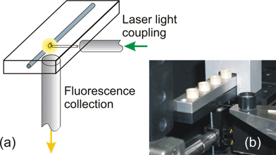 (a) Scheme of the setup used for the LIF experiments, with two optical fibers for fluorescence excitation and collection; (b) picture of the setup, with the microfluidic chip inserted in the cartridge.