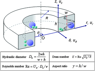 Schematic diagram of the curved microchannel and important design variables for the separation of beads of different sizes.