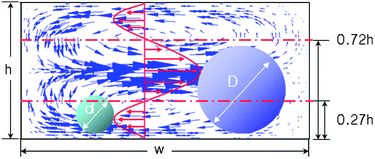 Size-selective separation of micro beads in the direction of the fluidic force exerted by the velocity distribution.