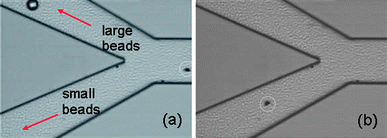 Size-selective sorting of the glass beads and nickel beads in the outlets at K = 28.87.