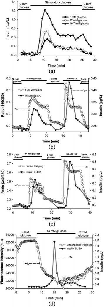 (a) Temporal insulin secretion profiles of mouse islets perfused with basal and different stimulatory glucose solutions, (b) temporal insulin secretion and [Ca2+]i [indicated by Fura-2 ratio of the fluorescence intensities (340/380 nm)] profiles of C57/B6 mice islets perfused with basal and stimulatory glucose, KCl solutions, (c) temporal insulin secretion and [Ca2+]i [indicated by Fura-2 ratio of the fluorescence intensities (340/380 nm)] profiles of BALB/c mice islets perfused with basal and stimulatory glucose, KCl solutions, (d) temporal insulin secretion and mitochondrial membrane potential profiles (indicated by fluorescence intensity of Rh123) of the mouse islets perfused with basal and different stimulatory glucose solutions. In all the experiments, 25 mouse islets were loaded per perfusion chamber. These are results from single representative experiments with n = 3 replicates at each point for Fura-2 ratios and Rh123 intensities.