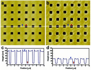 (a, b) Height and (c, d) cross-sectional AFM images of the 500 nm patterned PVA hydrogel on gold substrate (a, c) before and (b, d) after Ar RIE (gas flow = 10 sccm, pressure = 4 Pa, power = 50 W).