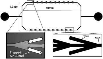 
          LCAT based pumping device. To demonstrate pumping within the microsystem, a rectangular design is used to show fluid movement in a counter-clockwise direction. As fluid is filled in the system, air bubbles remain trapped in the cavities shown. These trapped air bubbles are used as fluid actuators for pumping and mixing.