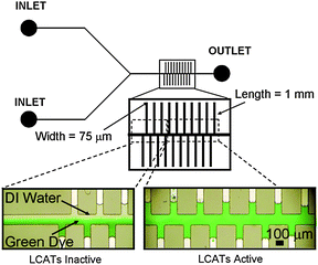 
          LCAT based real-time active mixer with cavities oriented perpendicular to the main fluidic channel. The design used to demonstrate mixing uses 75 µm wide cavities with lengths of 1 mm. There are ten cavities on each side of the main channel that are spaced at a distance of 150 µm apart. The main fluidic channel is 100 µm wide. The figure above shows the mixing region with the LCATs inactive and active as the fluids flow through it.