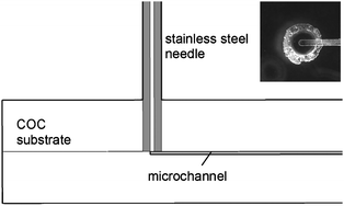 Cross-section view of needle interface (to approximate scale). Bottom view of an inserted needle is shown inset.