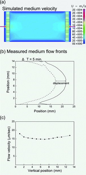 (a) Simulated medium velocity distribution in the flow chamber. (b) Measured flow front of the medium. The dashed and solid lines represent two measured flow fronts with a time interval of 5 minutes. (c) The actual flow velocities at various vertical positions calculated by the displacement and the time interval. The flow rate at the medium inlet is 50 µl/h for all the results in this figure.