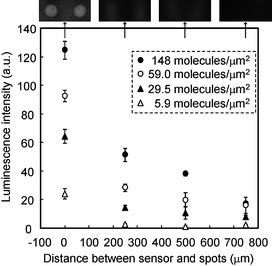 Relationship between luminescent intensity and the separation distance between the HRP-SA spot and the sensor surface. Images at 148 molecules/µm2 of HRP-SA were visualized using the photosensor at each distance. Standard deviations were calculated from the luminescence intensity of triplicates. Exposure time was set at 4.8 sec.