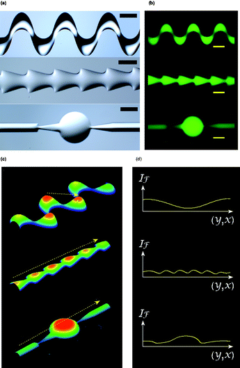 Characterization of the complex structured microchannels via a fluorescent imaging technique. (a) Liquid molds with complex structures. (b) Fluorescent images of LM microchannels molded from the liquid molds shown in (a). (c) Intensity mapping of the fluorescent images revealing the 3D structures of the microchannels. (d) Cross-sectional profiles alone the lines showing in (c) (Scale bar = 1000 μm.)