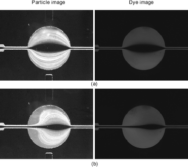 Effect of flow separation on lens shape: (a) low flow rate 3.6 mL h−1 (Re = 2) (b) high flow rate 16.2 mL h−1 (Re = 9).