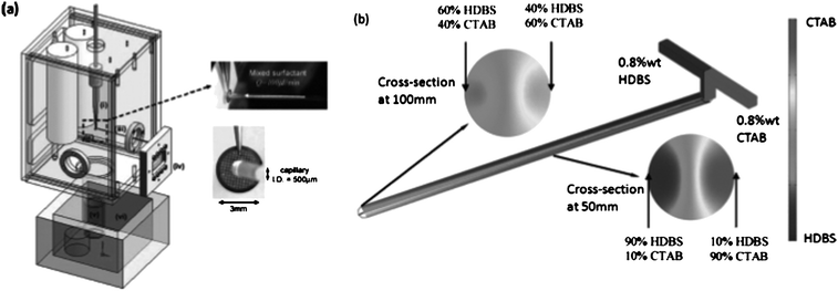 Microfluidics integrated with a vitrification system to image fast self-assembly processes. (a) Scheme of the device that connects the microfluidic chip with a fast cooling unit (liquid ethane) via a holey carbon grid. Afterwards, the sample is imaged in a cryo-TEM. (b) Visualisation of concentration profiles of the amphiphilic compounds used in these experiments (HDBS: dodecylbenzene sulfonic acid and CTAB: cetyltrimethylammonium bromide). (Reprinted with permission from J. Lee et al.3 Copyright 2008 American Chemical Society).