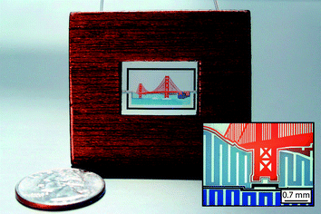 Art-on-a-Chip, image reproduced by permission of Joshua Tanner Nevill and Albert Mach.