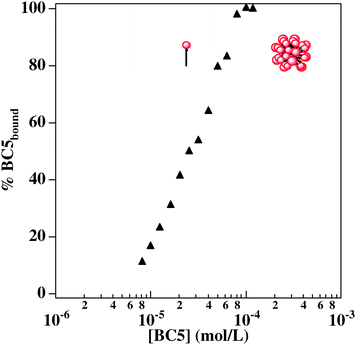 Concentration of bound BC5 as a function of increasing amount of BC5 in solution. The plateau corresponds to micelle formation.