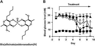 Improvement of hyperglycemia in STZ-diabetic mice following oral administration of VO(alx)2. (a) Structure of VO(alx)2. (b) Changes in blood glucose level in STZ-diabetic mice treated with insulin (1 U kg−1 body weight) by injection or VO(alx)2 (7 mg (137 μmol) V kg−1 body weight) by oral administration for 9 days (n = 4 to 7 mice/group). The symbols indicate the following: closed squares, non-diabetic control mice; closed triangles, STZ-diabetic mice; closed circles, insulin-treated STZ-diabetic mice; open circles, VO(alx)2-treated STZ-diabetic mice. Data are expressed as means ± SD. Significance: *P < 0.01 versus before treatment.